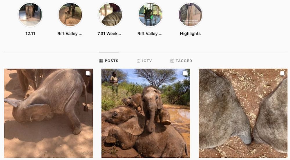 social media for global NGOs