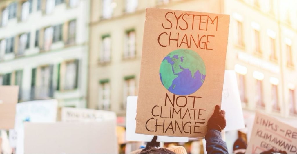 content marketing for global NGOs – Scize Marketing