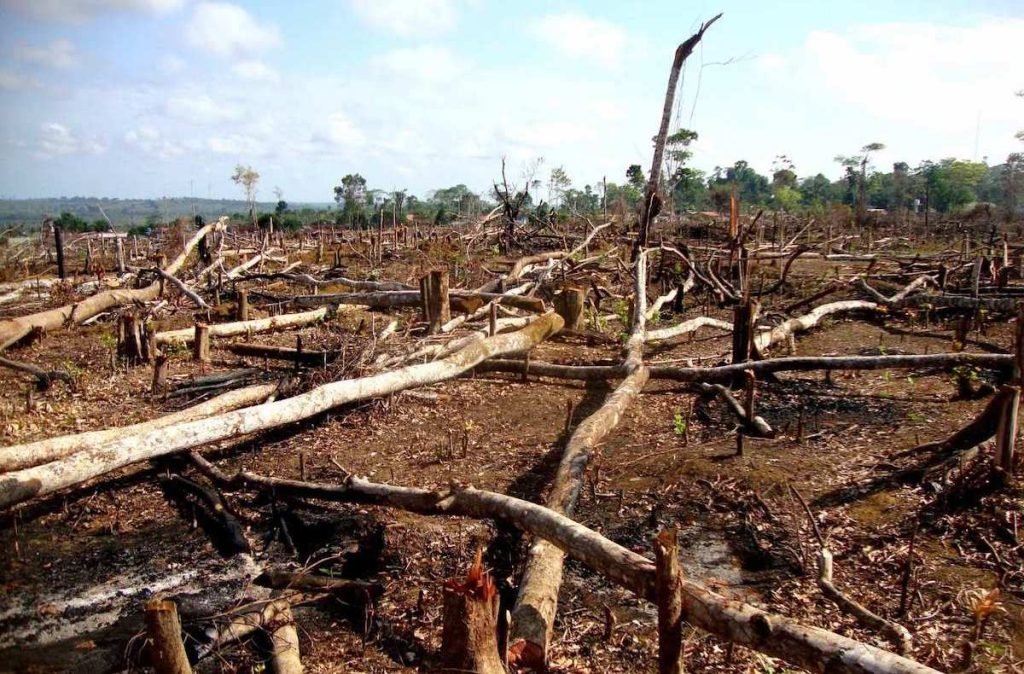 avoid greenwashing in marketing – Scize scientific marketing