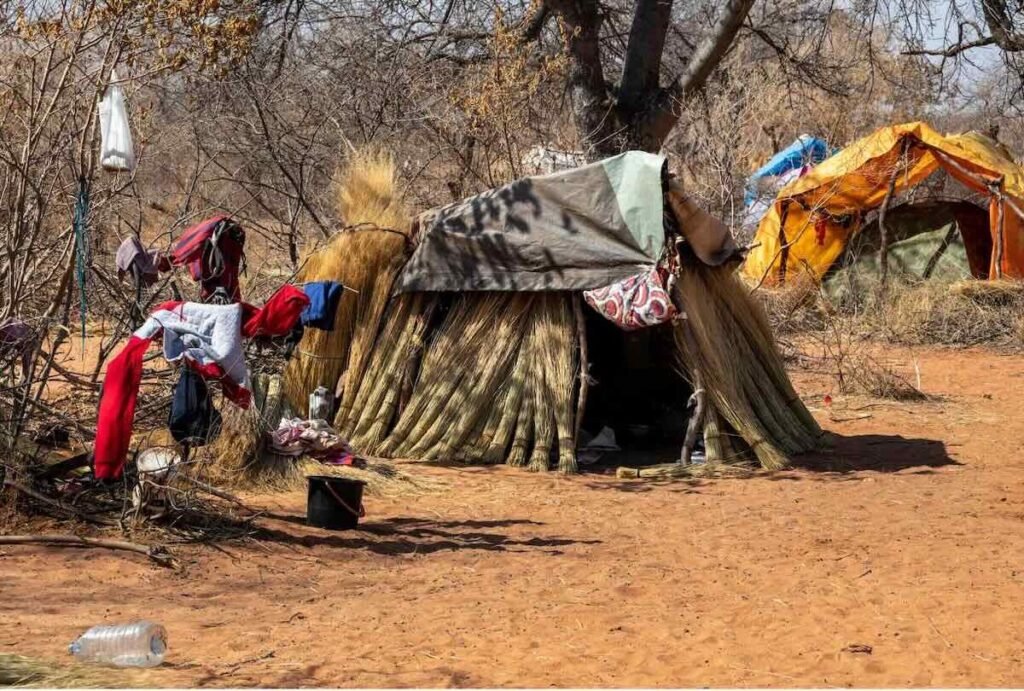 Writing about refugees – MacroLingo