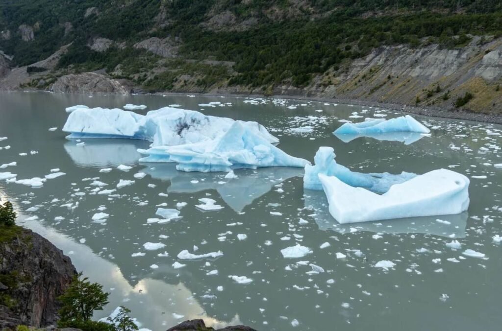climate action – MacroLingo